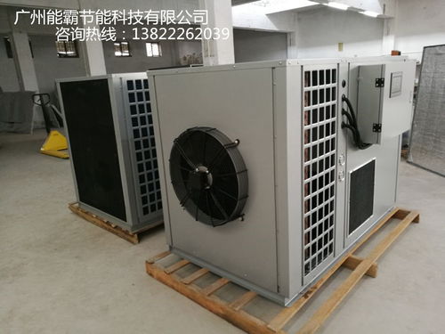 菠蘿片烘干機選購指南 廠家價格、圖片與批發渠道解析